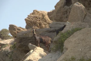 Variety Cruises – Unexplored Greece-2024 (36)