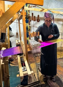 World Expeditions Five Stans Photos-2024 (120)