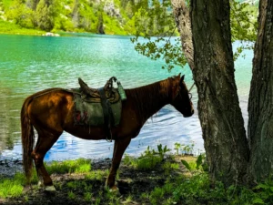 World Expeditions Five Stans Photos-2024 (146)