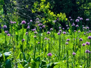 World Expeditions Five Stans Photos-2024 (147)