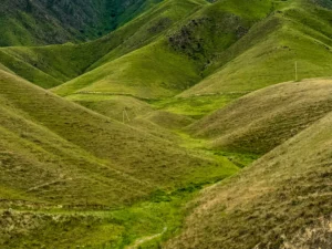 World Expeditions Five Stans Photos-2024 (151)