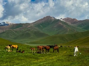 World Expeditions Five Stans Photos-2024 (163)