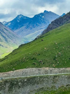 World Expeditions Five Stans Photos-2024 (165)