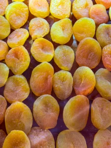 World Expeditions Five Stans Photos-2024 (27)