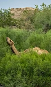 World Expeditions Five Stans Photos-2024 (38)