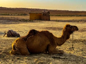 World Expeditions Five Stans Photos-2024 (53)