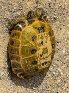 World Expeditions Five Stans Photos-2024 (57)