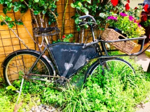 Yountville-2018 (10)