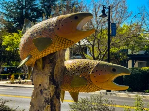 Yountville-2018 (21)