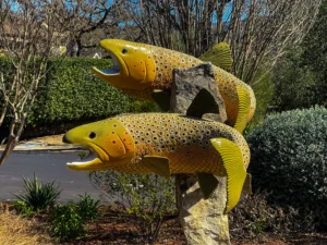 Yountville-2018 (22)