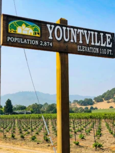 Yountville-2018 (51)